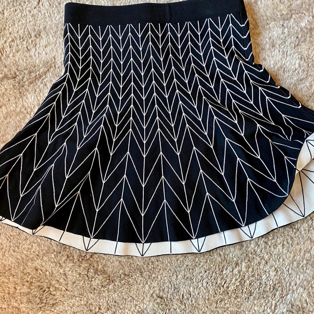 Flare Skirt